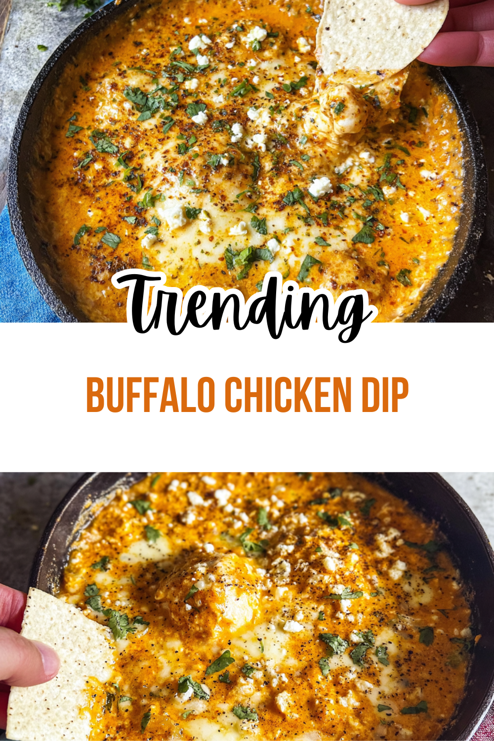 Buffalo Chicken Dip