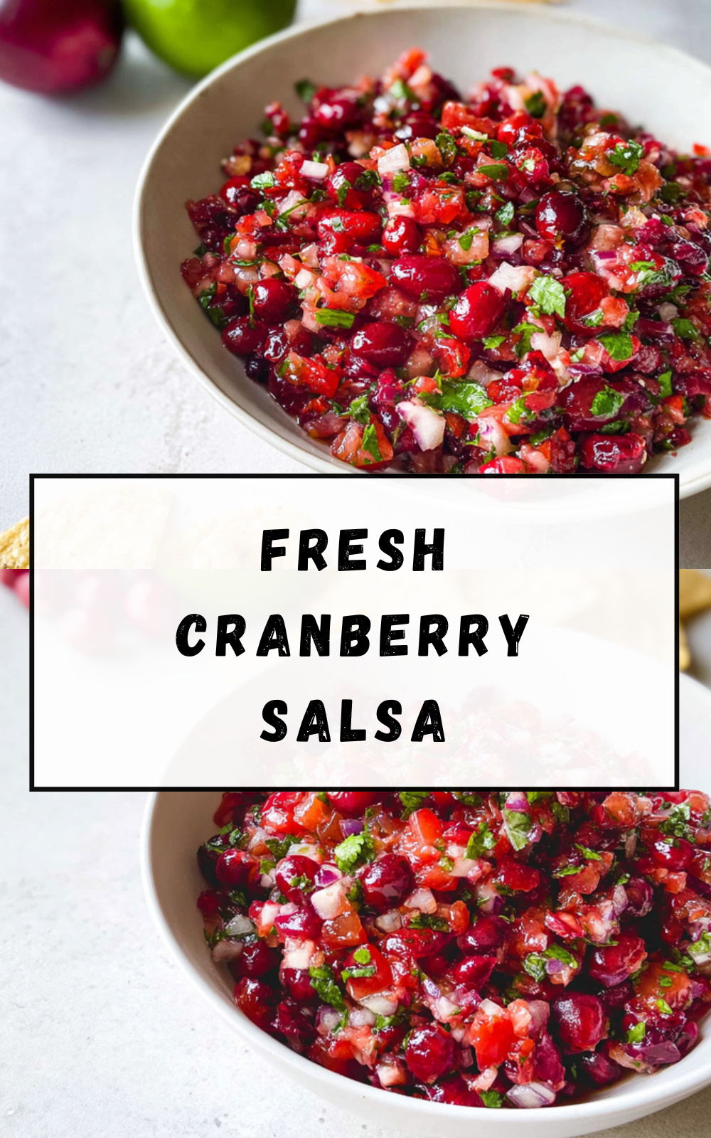 Fresh Cranberry Salsa