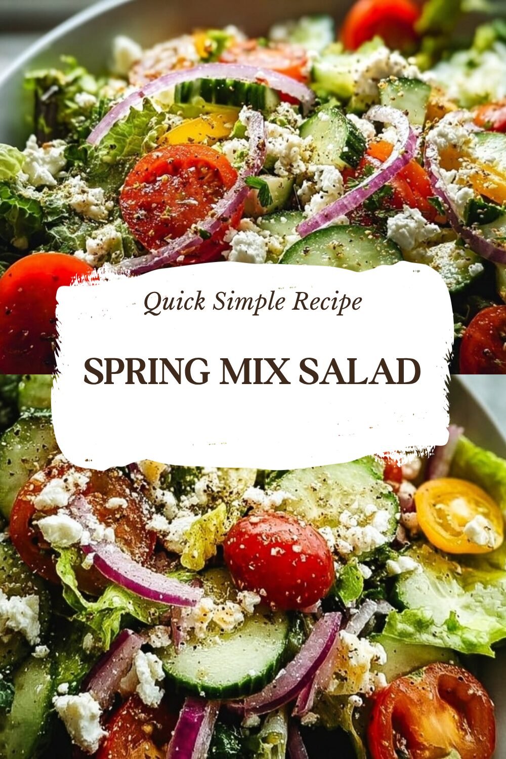 Spring Mix Salad