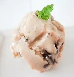 Mint Chip Ice Cream