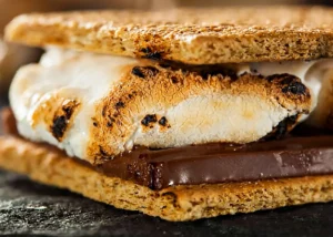 Campfire Smores Recipes