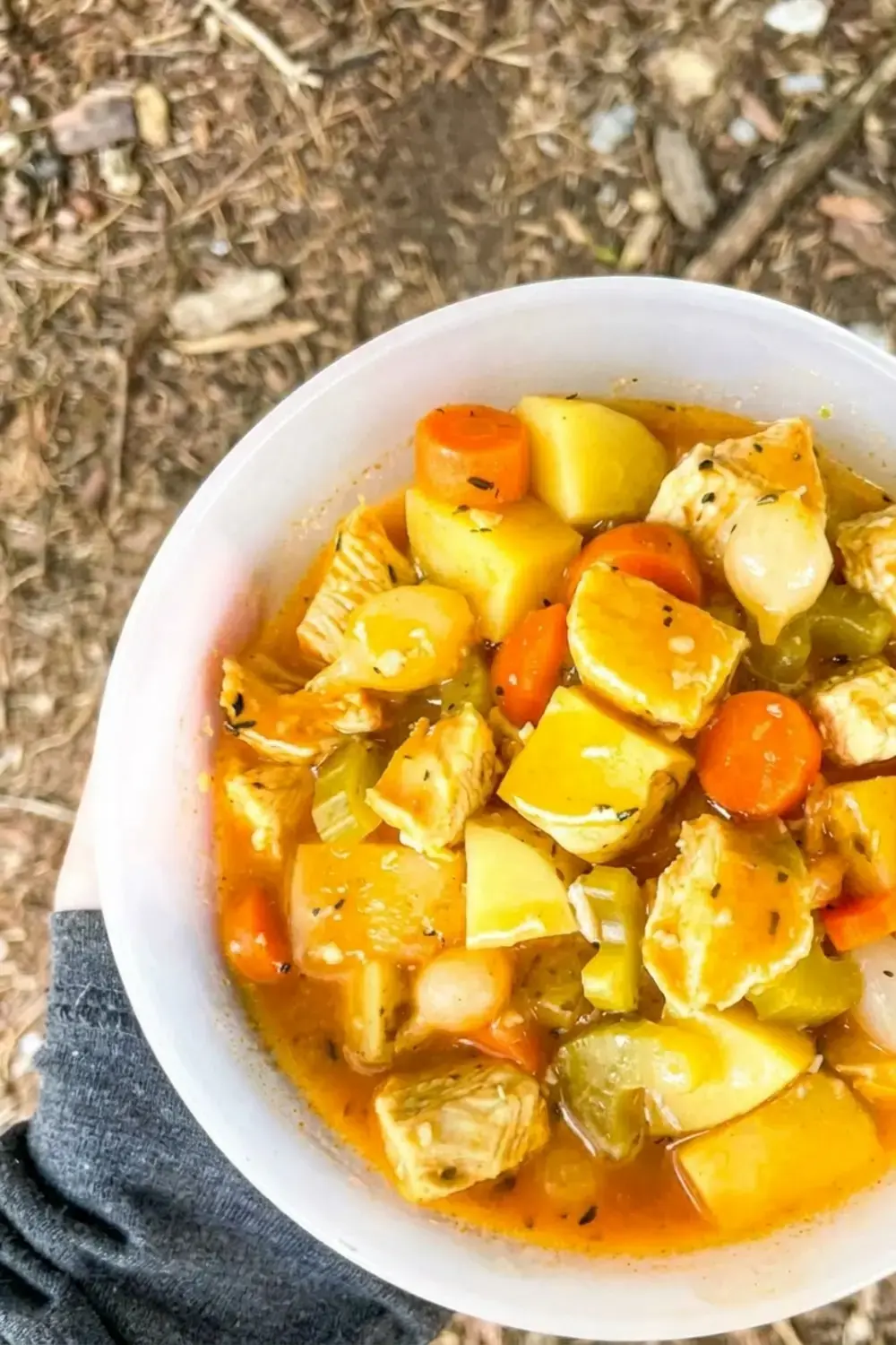 Chicken Campfire Stew