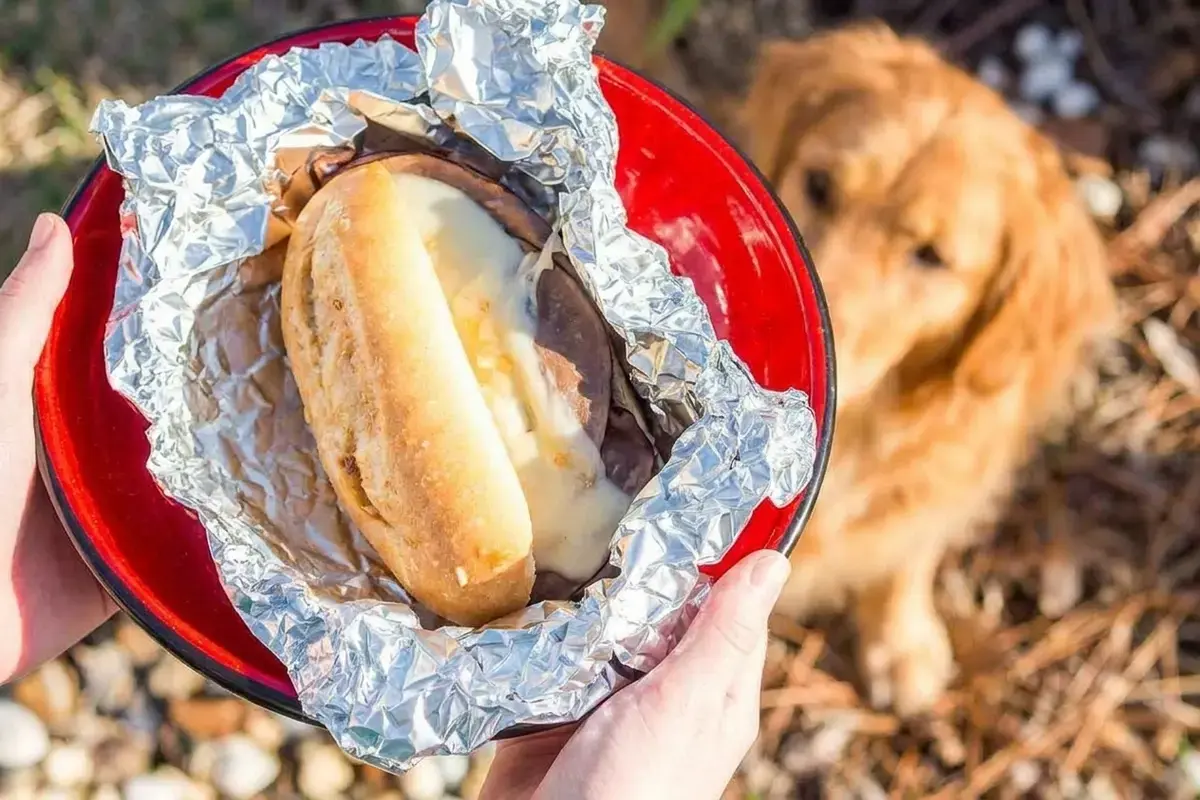 Easy Campfire French Dip Sandwiches