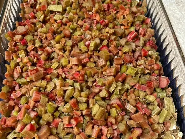 Rhubarb Crunch Recipe for a Family Favorite Spring Dessert 14 Step 4: Add the rhubarb
