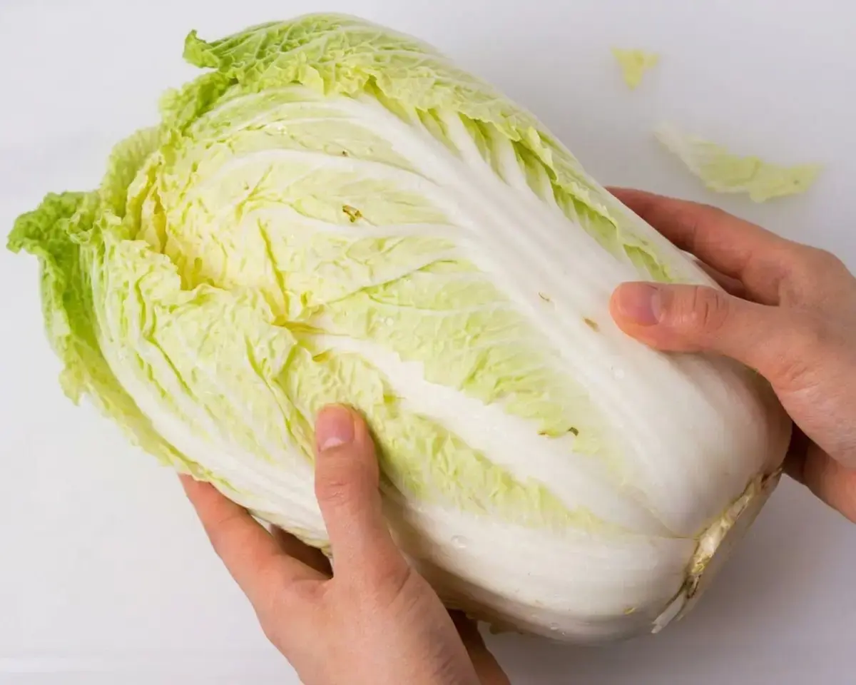 Clean and cut the napa cabbage: