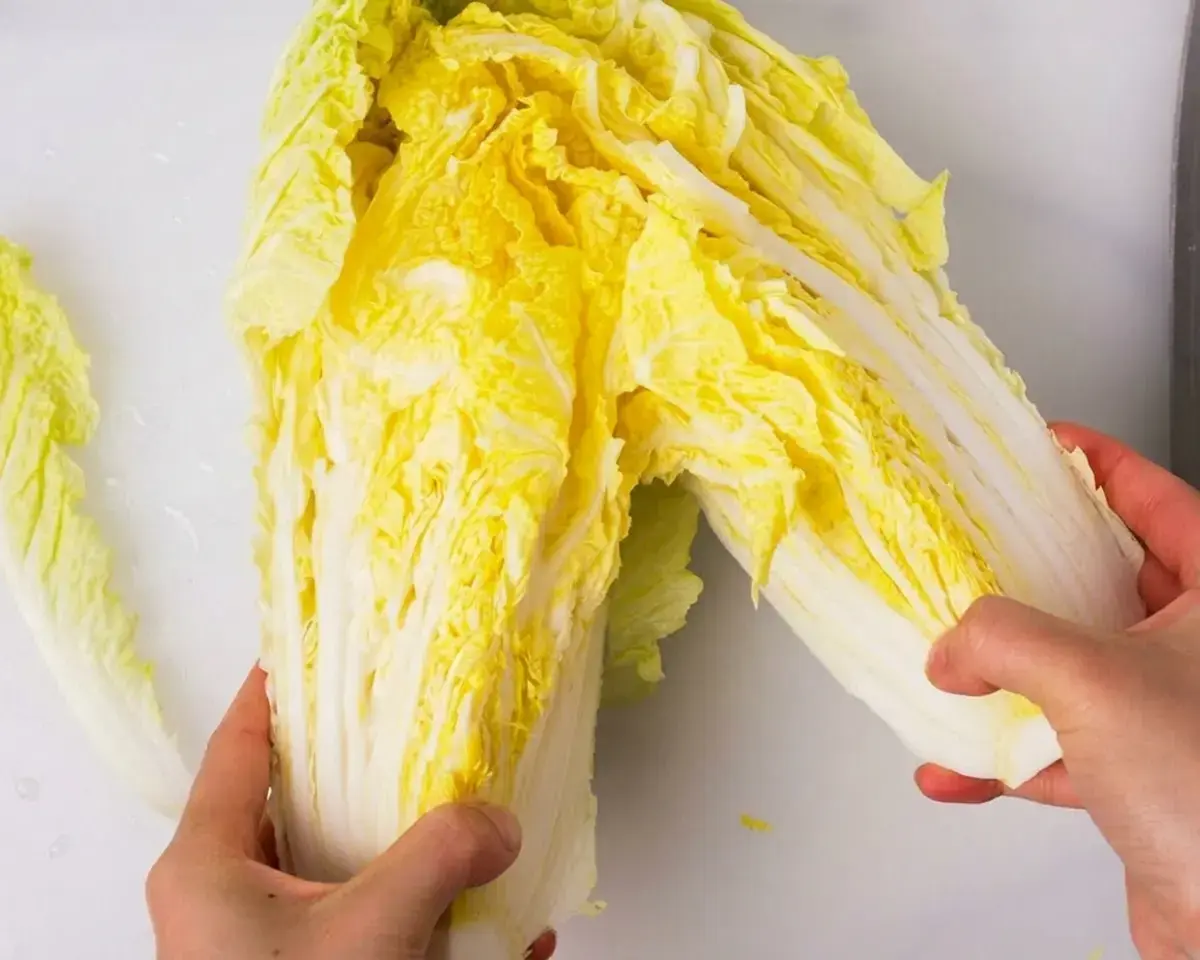 Clean and cut the napa cabbage: