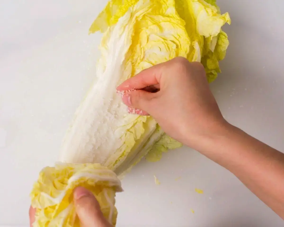 Salt the napa cabbage: