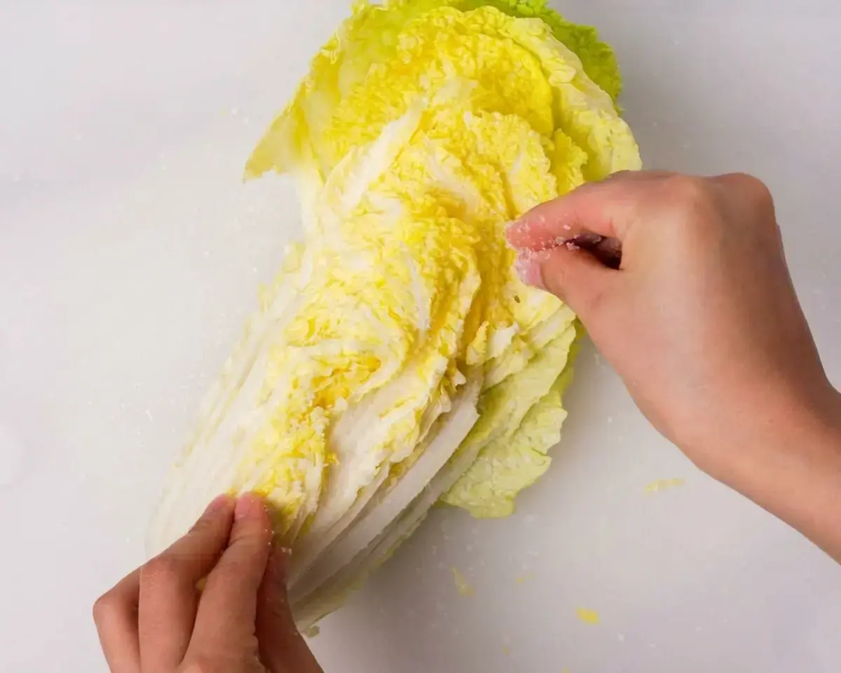 Salt the napa cabbage: