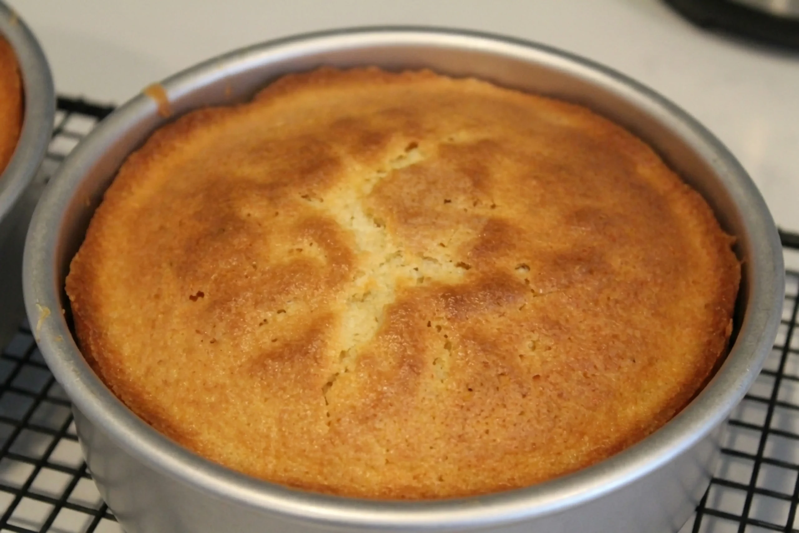 Vanilla Cake Recipe for a Moist, Tender, and Fluffy Classic 35 INSTRUCTIONS
