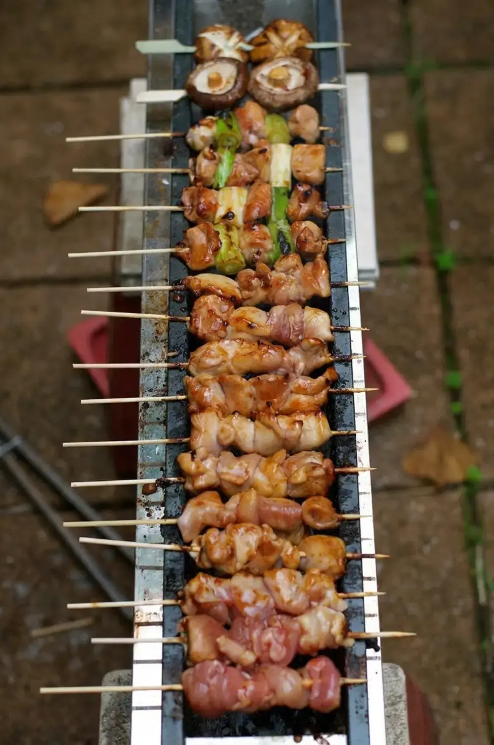 Yakitori Japanese Skewered Chicken Recipe and Grilling Guide 2 Yakitori Grill