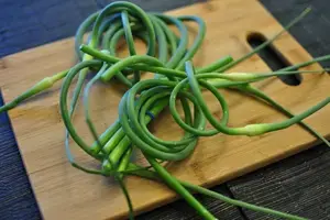 8 Great Garlic Scape Recipes for Pesto, Hummus, and More 1 Fresh curled garlic scapes ready for seasonal recipes