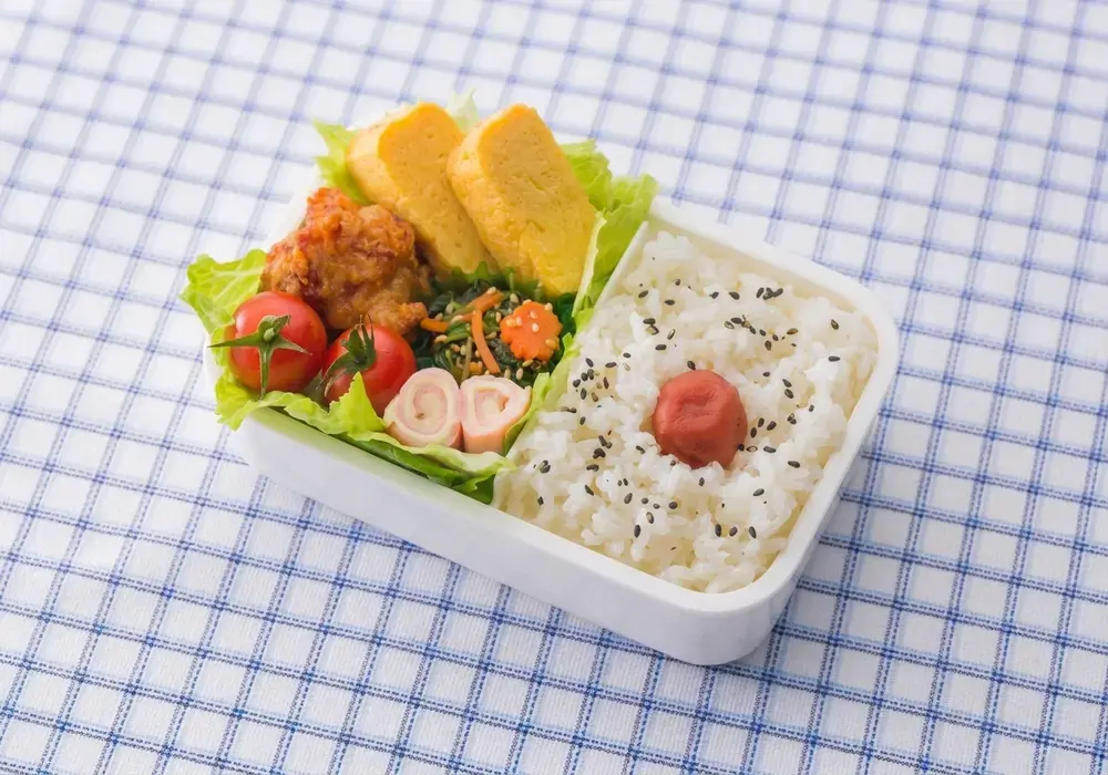 15 Easy Bento Box Meal Ideas for Adults 1 Bento Box Meal Ideas For Adults