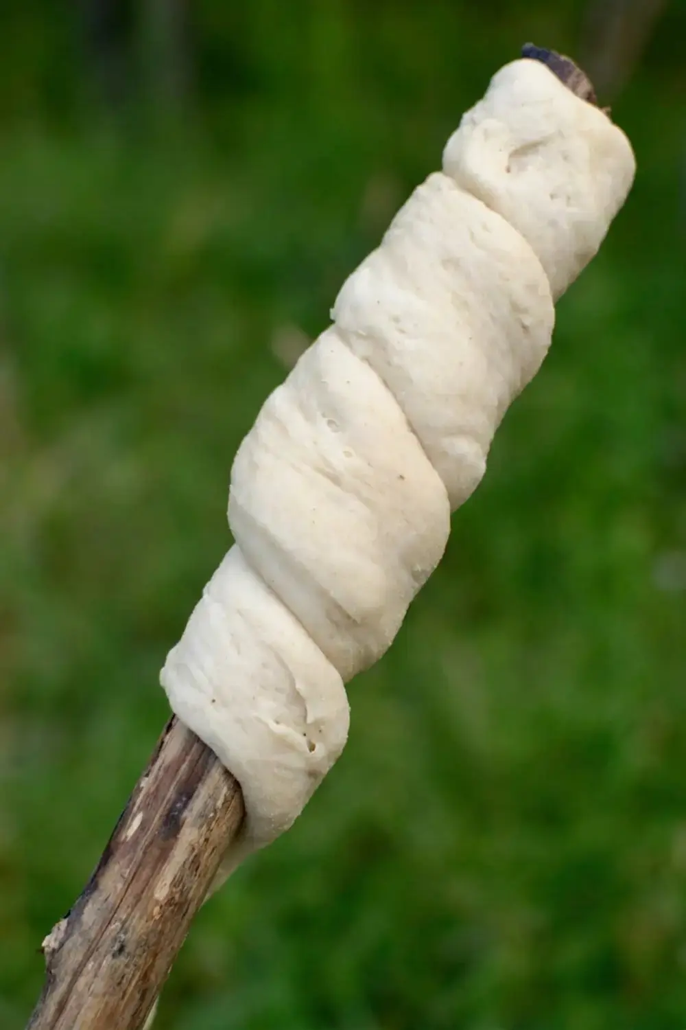 Campfire bread dough divided into eight pieces