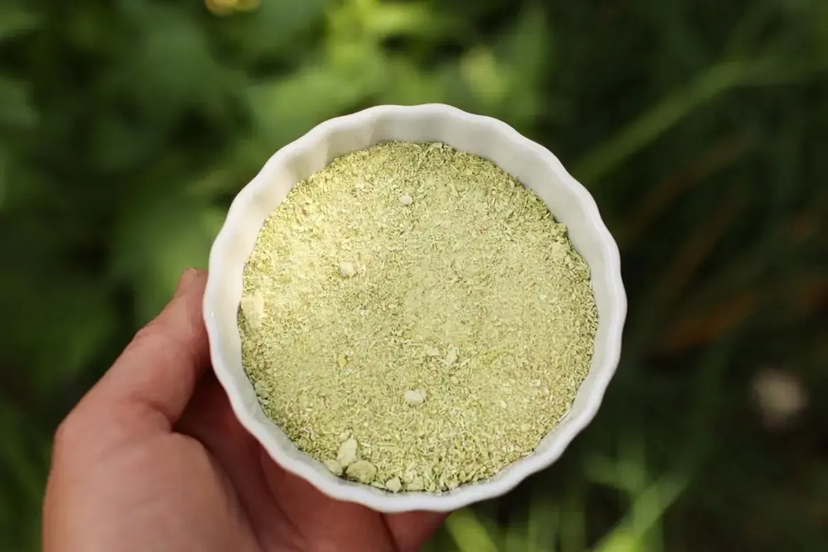 Garlic Scape Salt
