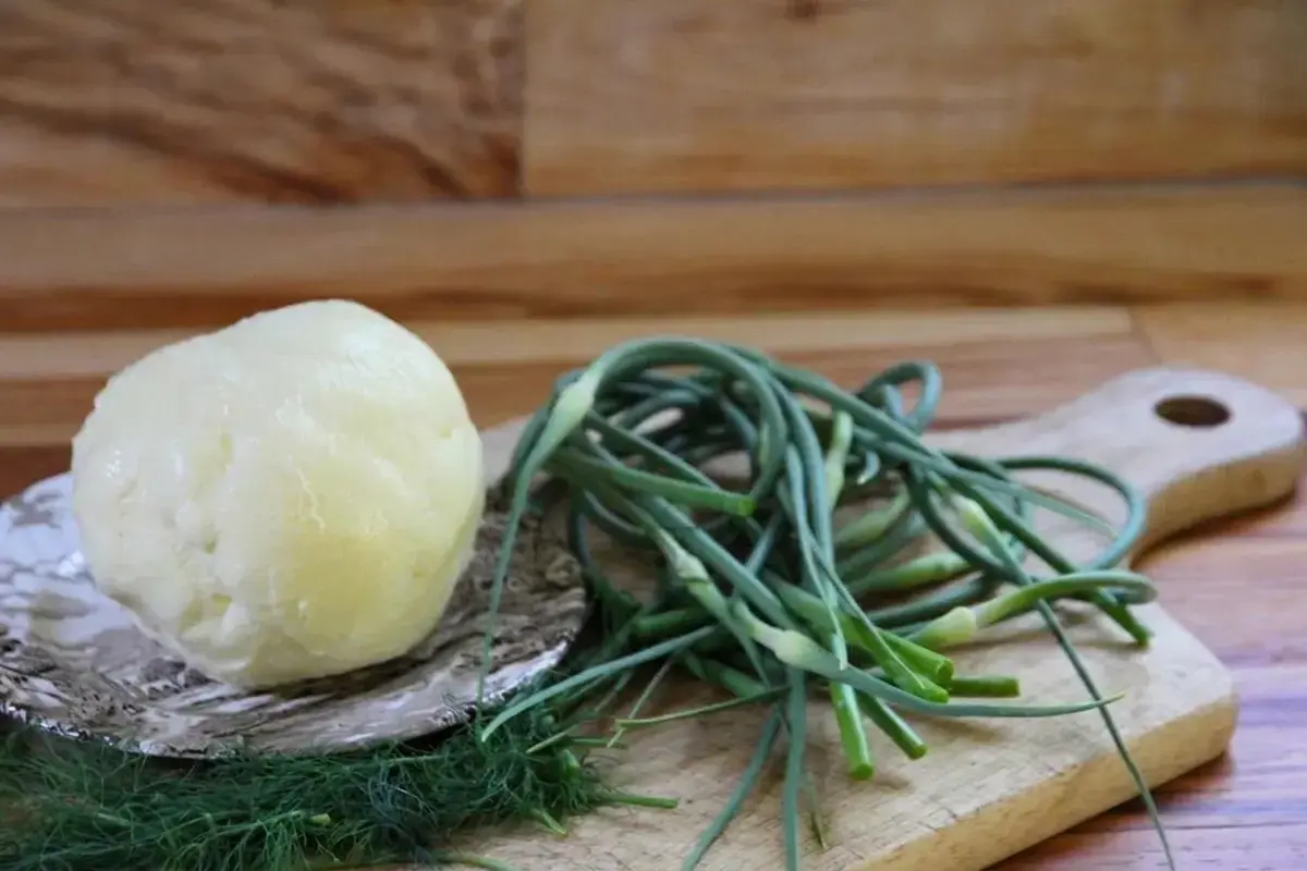 Step 2: Harvest Fresh Garlic Scapes