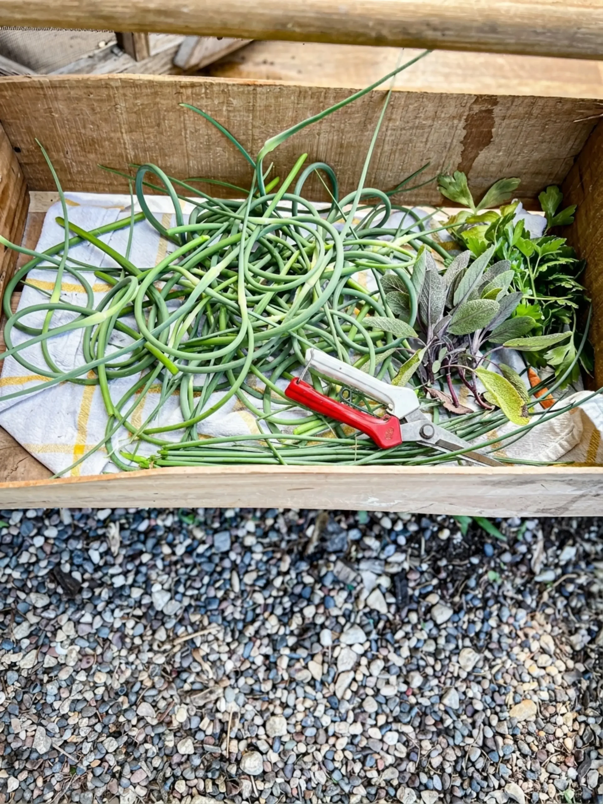 Make Garlic Scape Compound Butter: Recipe, Method, and Tips 5 Chopped summer herbs added to softened butter