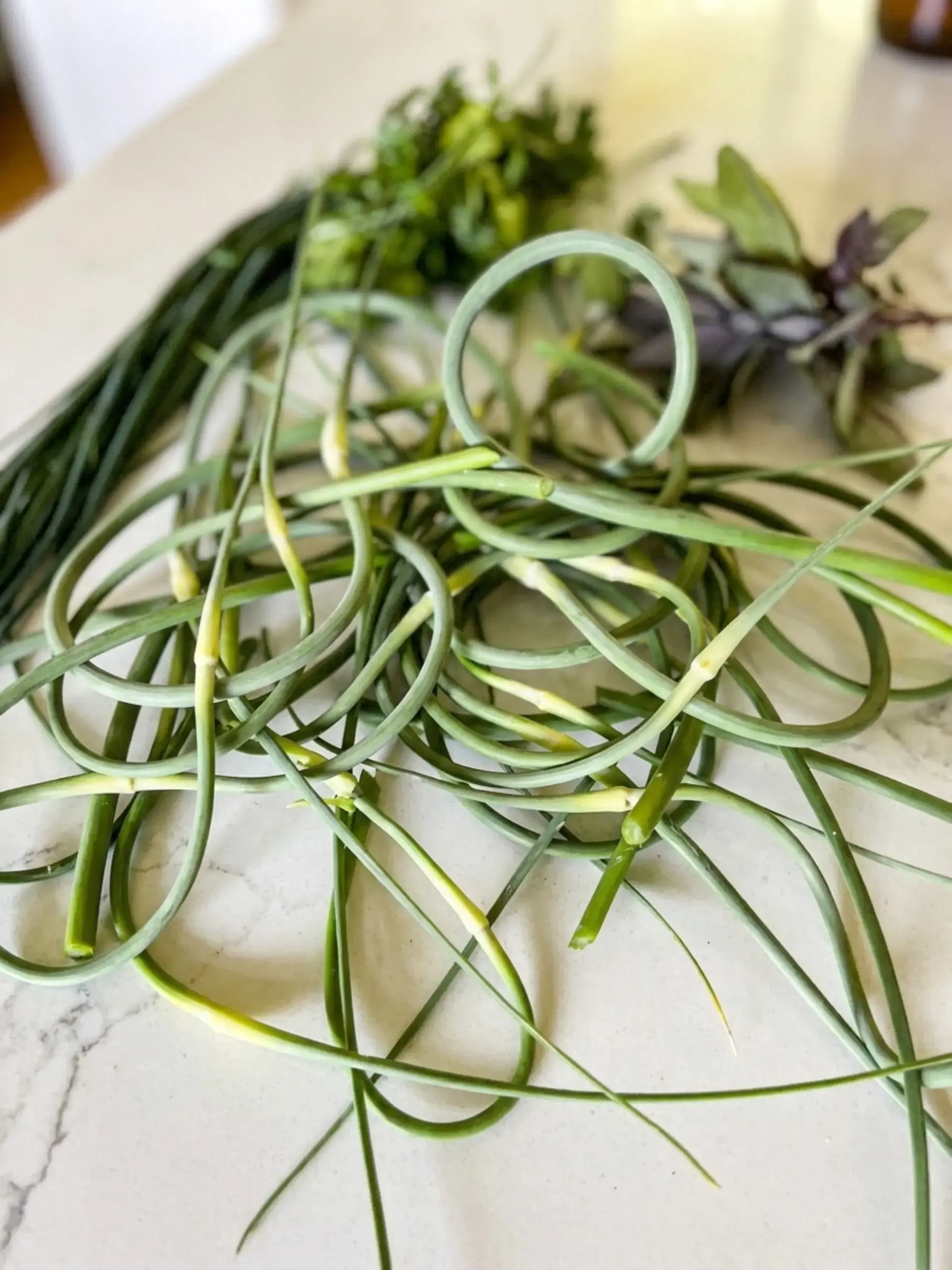 How to Make Garlic Scape Compound Butter 24 Questions People are asking about Garlic Scape Compound Butter