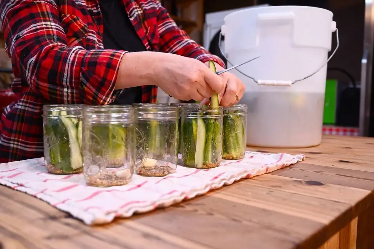 Easy Garlic Dill Pickle Recipe, How to Make Pickles Step by Step