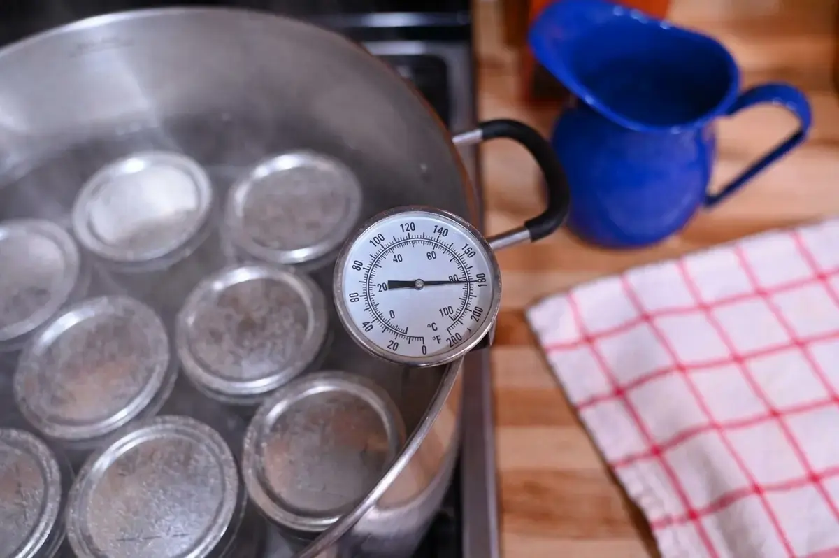 Easy Garlic Dill Pickle Recipe, How to Make Pickles Step by Step