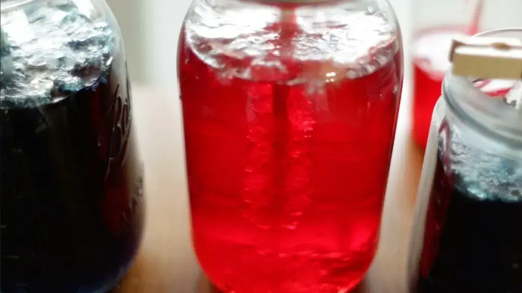 Homemade Rock Candy, Grow, Remove, and Dry the Rock Candy