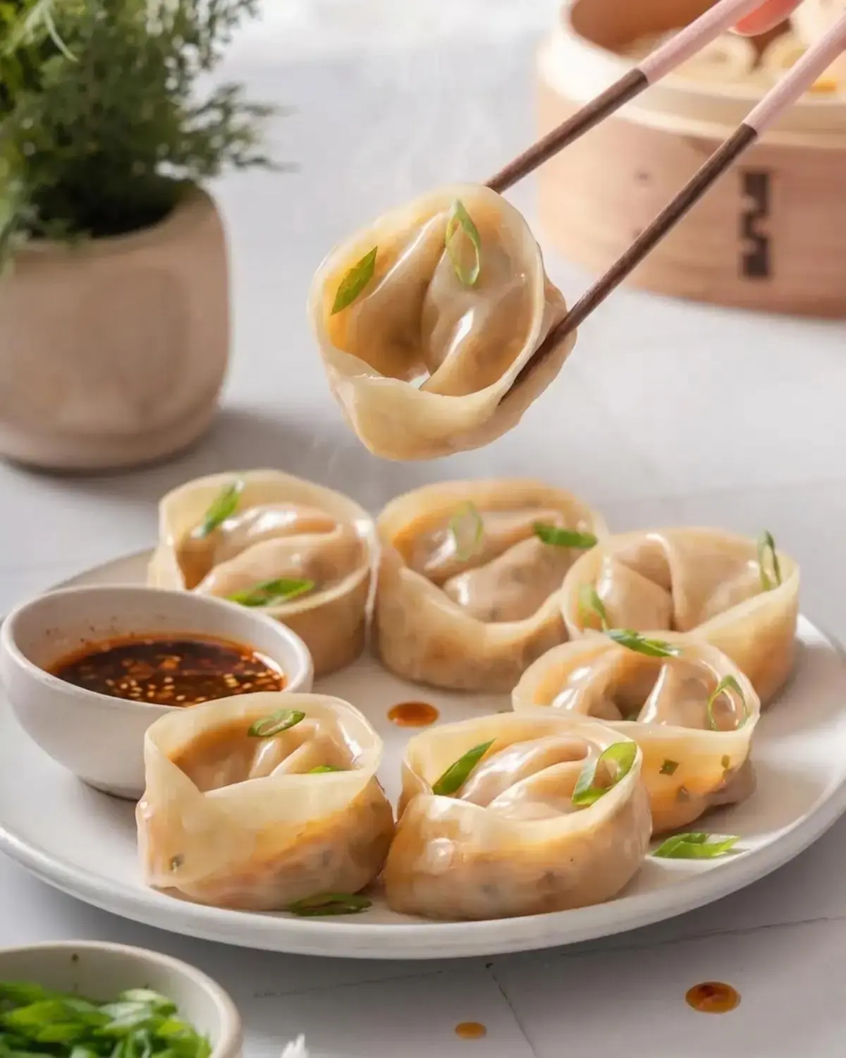 Kimchi Mandu Korean Kimchi Dumplings, What Is Kimchi Mandu Korean Kimchi Dumplings