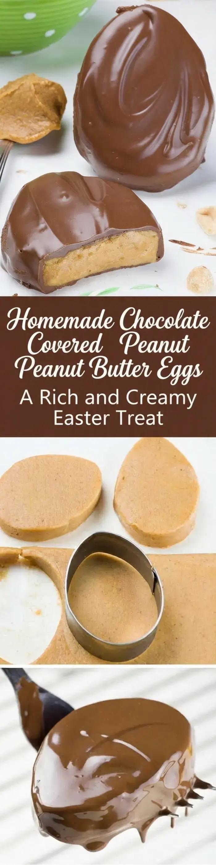 Homemade Chocolate Peanut Butter Eggs Recipe 13 Homemade Chocolate Peanut Butter Eggs, Homemade Chocolate Covered Peanut Butter Eggs Eggs