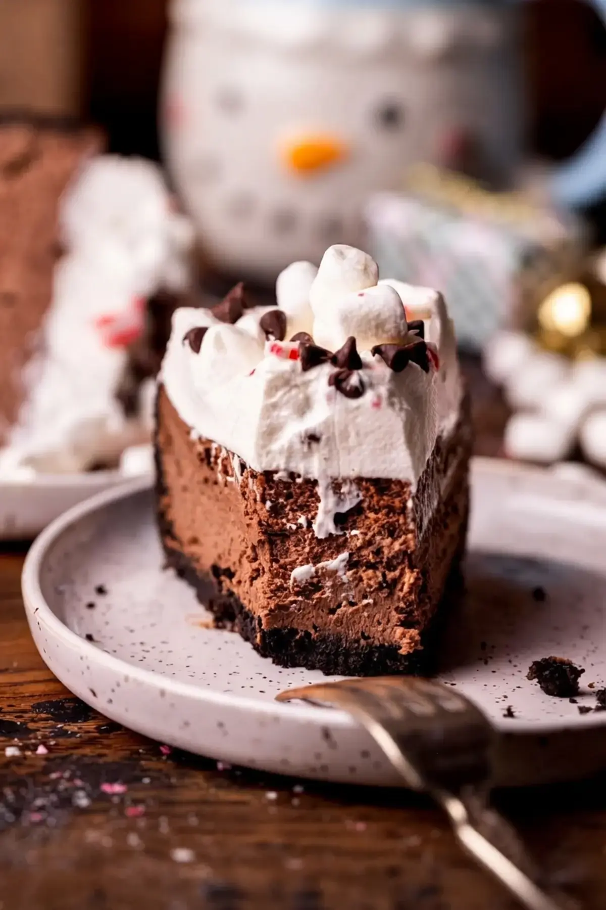 Hot Chocolate Cheesecake: A Creamy Winter Dessert with Oreo Crust 18 Hot Chocolate Cheesecake, How to decorate this homemade cheesecake