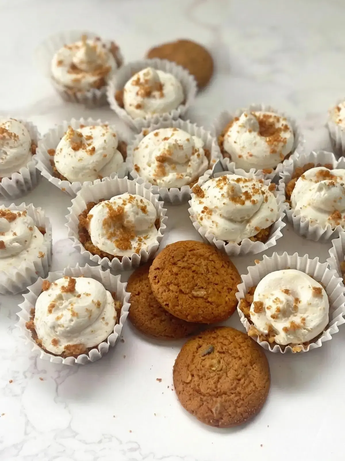 20+ Easy Christmas Desserts Anyone Can Make, Gingersnap Cheesecake Bites