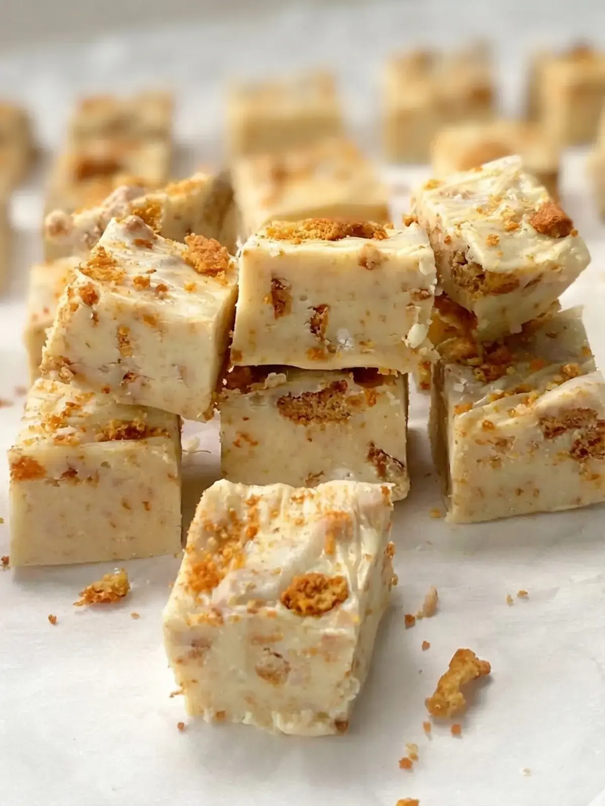 20+ Easy Christmas Desserts Anyone Can Make, Gingersnap Fudge